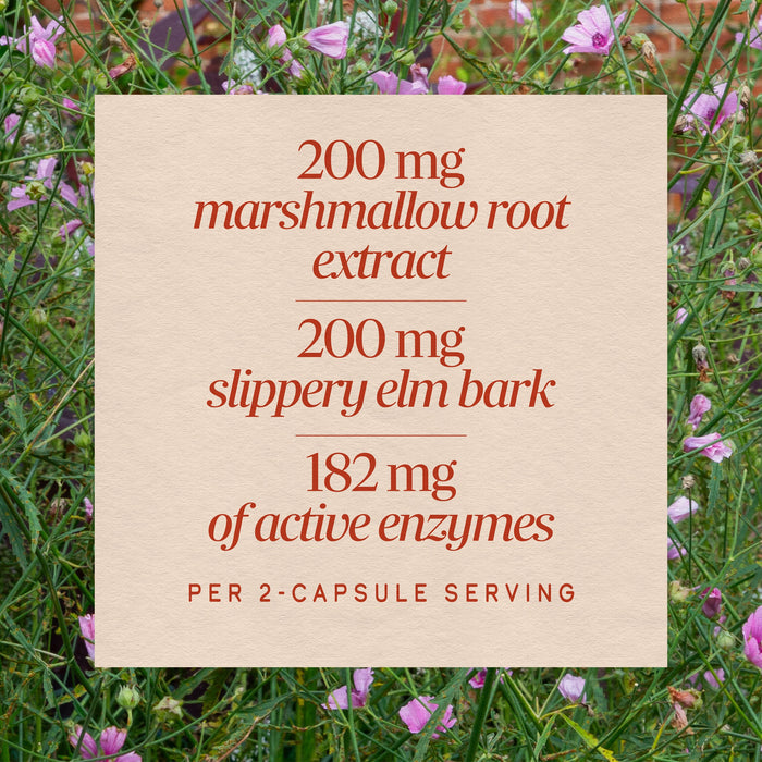 <{%MAIN3_02490%}>Nature's Way® | Acid-Ease
