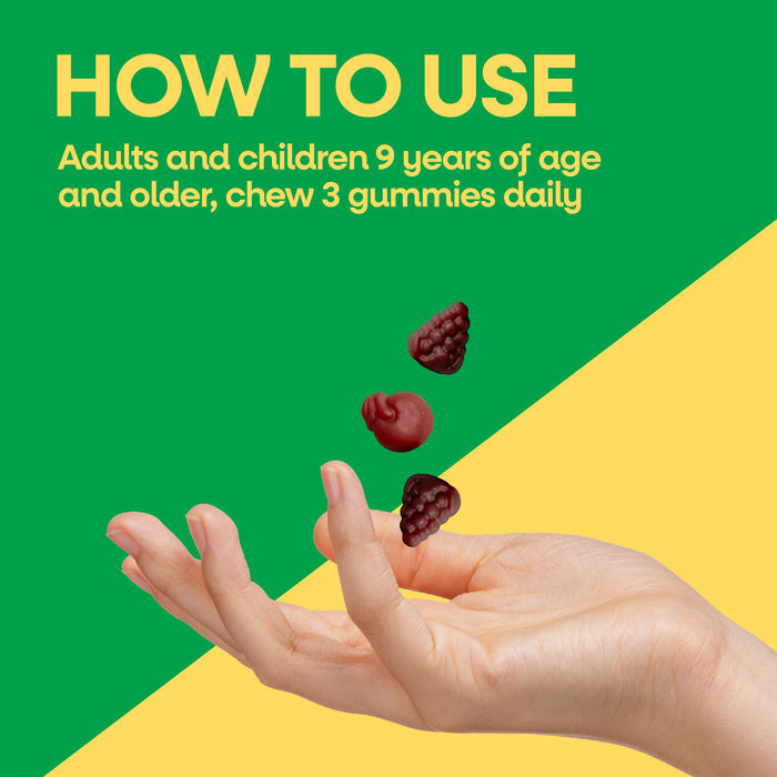 <{%DETAIL2_15817%}>Nature's Way® | Alive! Adult Premium Gummy Multivitamin