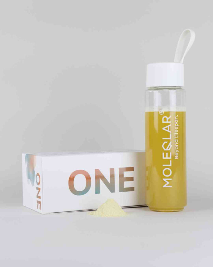 Anna Kraft Advanced Bundle