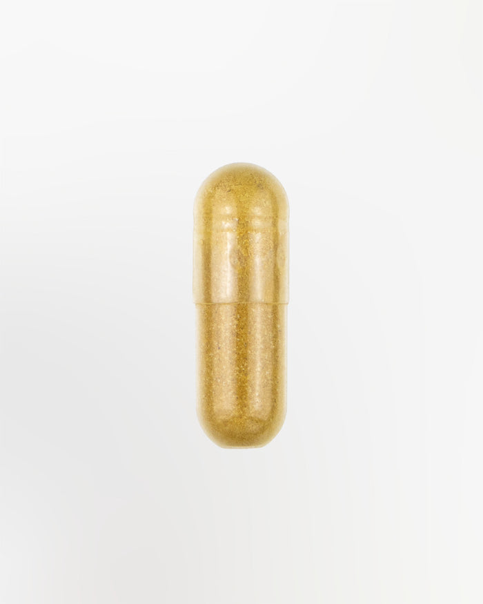 Ashwagandha Kapsel Nahaufnahme