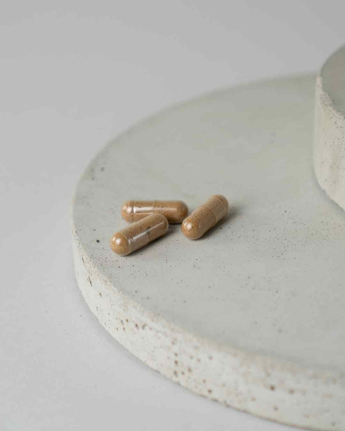 Astragalus Kapseln