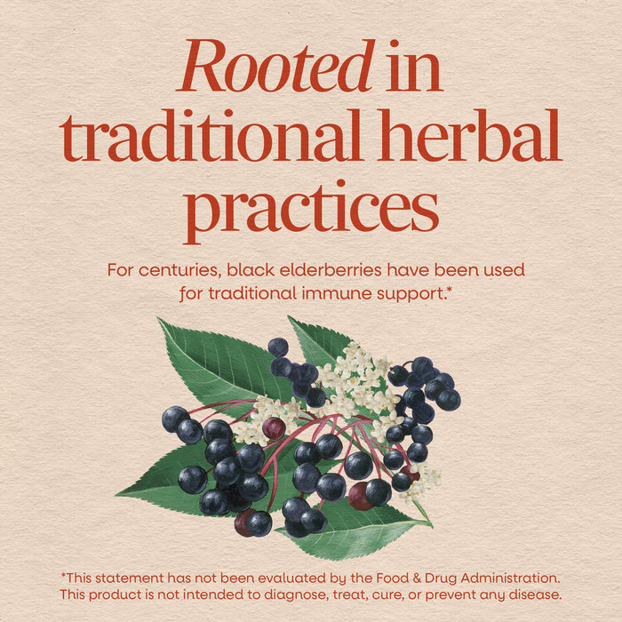 <{%MAIN2_12440%}>Nature's Way® | Black Elderberry