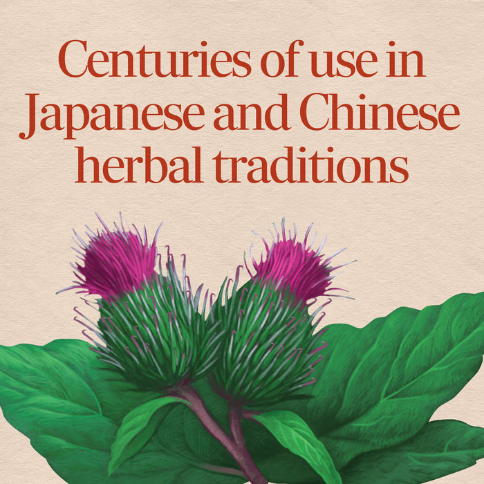 <{%MAIN2_11200%}>Nature's Way® | Burdock Root