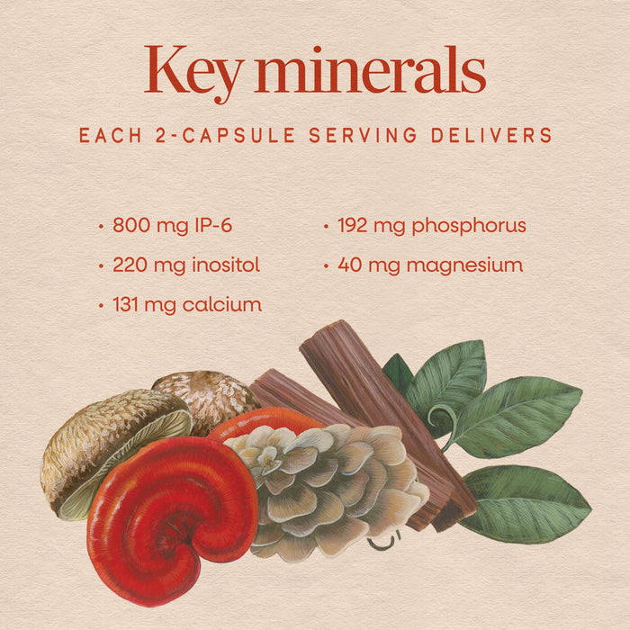 <{%MAIN2_05812%}>Nature's Way® | Cell Forté MAX3