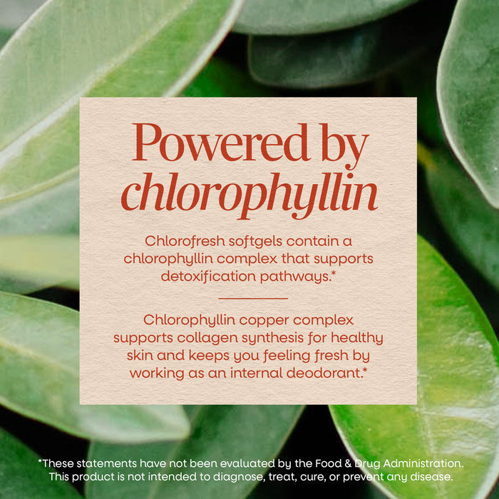 <{%MAIN3_3550%}>Nature's Way® | Chlorofresh Chlorophyll Concentrate