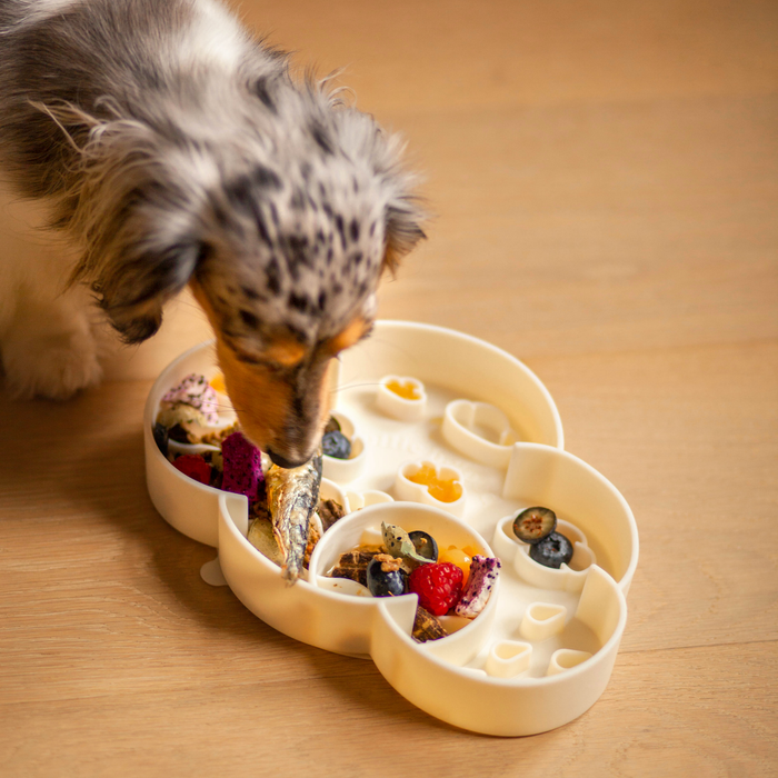 cloud slow feeder bowl | coconut