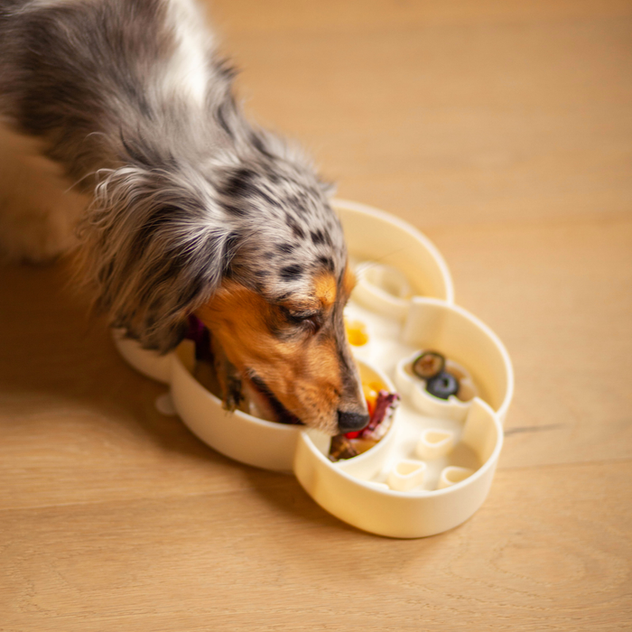 cloud slow feeder bowl | coconut