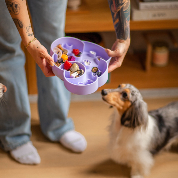 cloud slow feeder bowl | viola