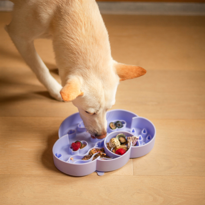 cloud slow feeder bowl | viola