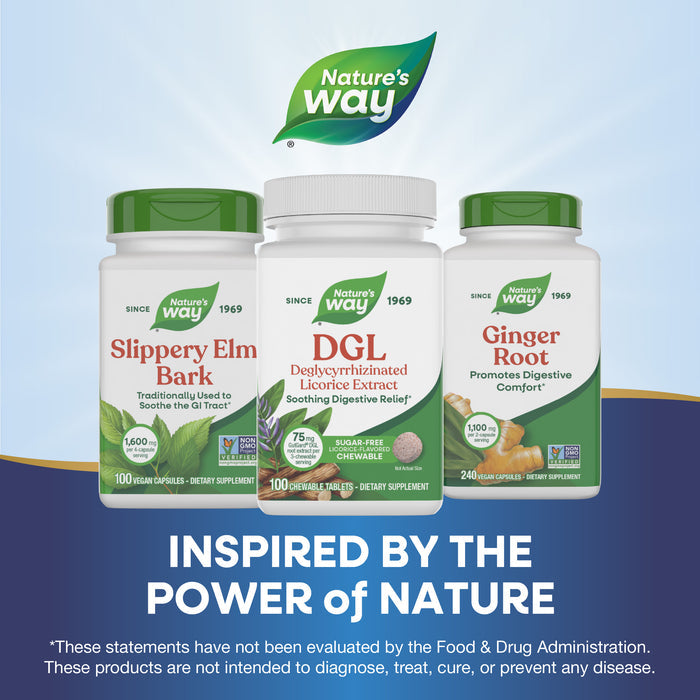 <{%MAIN5_09021%}>Nature's Way® | DGL Sugar Free