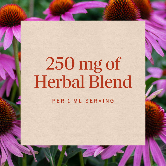 <{%MAIN4_14663%}>Nature's Way® | Echinacea Goldenseal Premium Blend