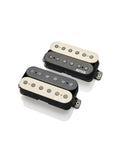 Set Signature Jim Root Daemonum, espacement Floyd - Zebra