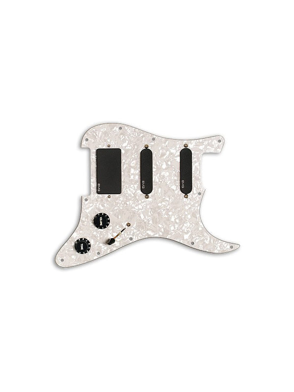 Pickguard collection, KH20 - Kirk Hammett