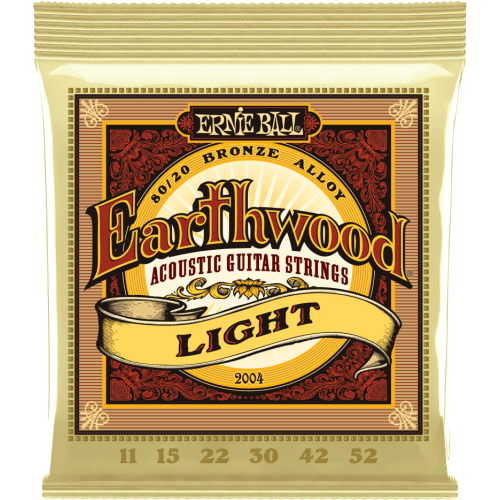 ernie ball jeu de cordes 2004