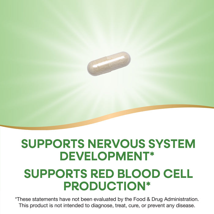 <{%MAIN2_40451%}>Nature's Way® | Folate