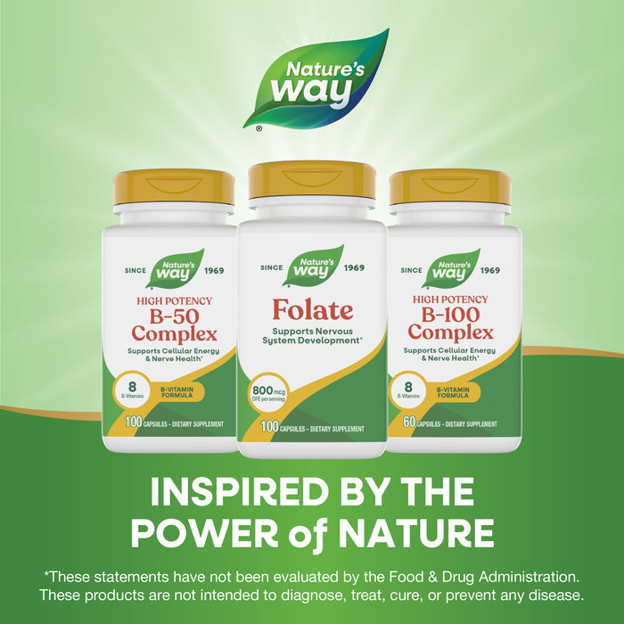 <{%MAIN5_40451%}>Nature's Way® | Folate