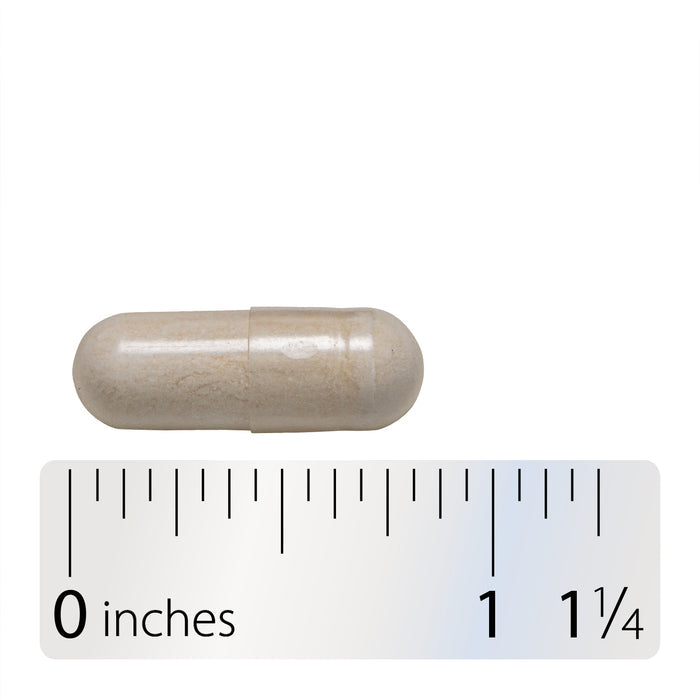 <{%MAIN5_15859%}>Nature's Way® | Fortify Optima Women's Advanced Care 90 Billion Probiotic - Capsule and ruler