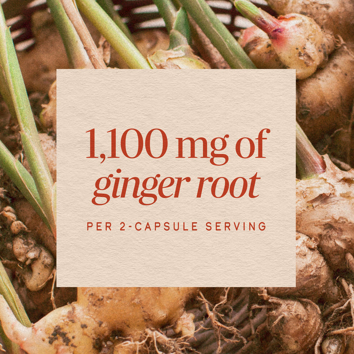 <{%MAIN2_13108%}>Nature's Way® | Ginger Root