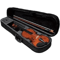 herald violon acoustique as118