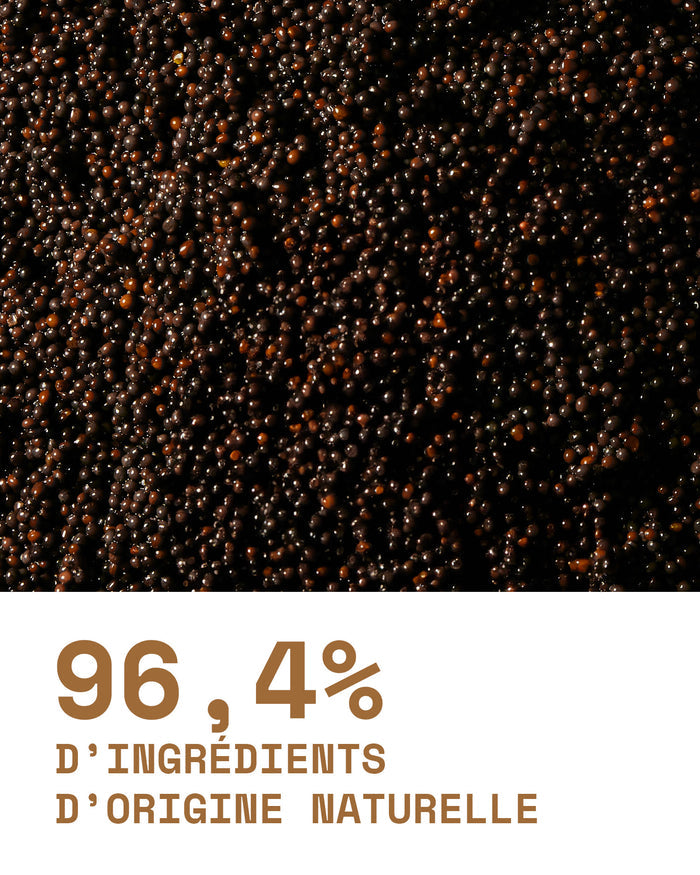 Le Shampoing ingrédients - Martine Cosmetics