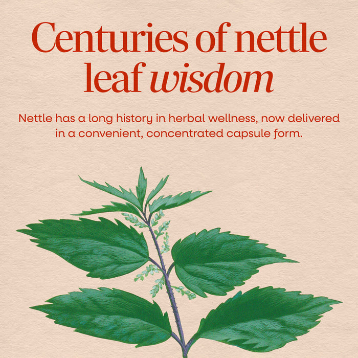 <{%MAIN2_15150%}>Nature's Way® | Nettle Leaf