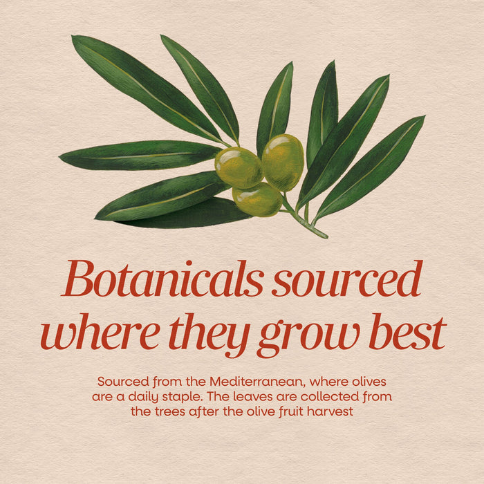 <{%MAIN2_64000%}>Nature's Way® | Olive Leaf Standardized Extract