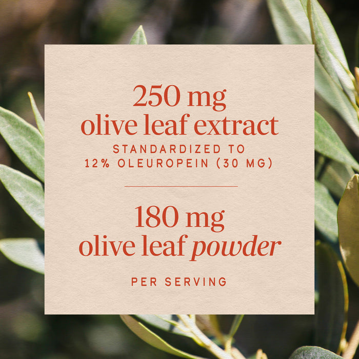 <{%MAIN3_64000%}>Nature's Way® | Olive Leaf Standardized Extract