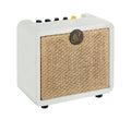 PTWO-LTD, ampli combo guitare acoustique 12W, Streaming Bluetooth, sortie casque, delay, reverb & chorus intégrés, simili cuir