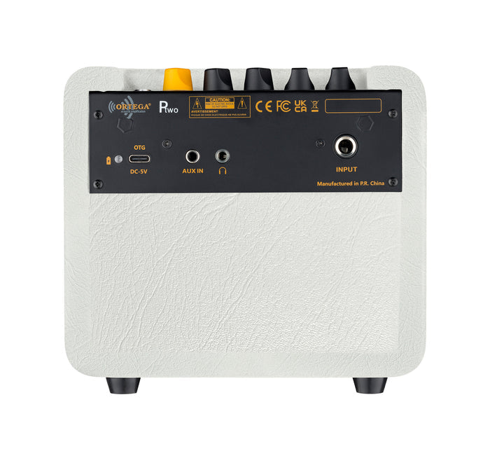 PTWO-LTD, ampli combo guitare acoustique 12W, Streaming Bluetooth, sortie casque, delay, reverb & chorus intégrés, simili cuir