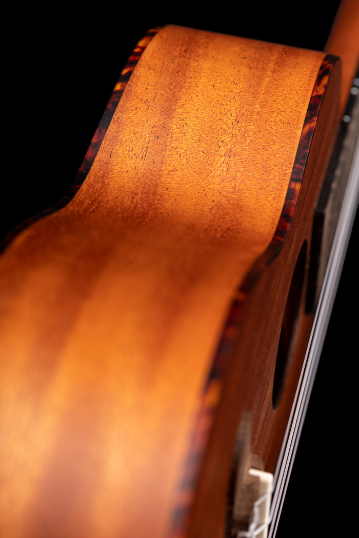 RU5MM, modèle Concert, table sapele avec motif, fond & éclisses sapele, manche acajou, naturel satiné