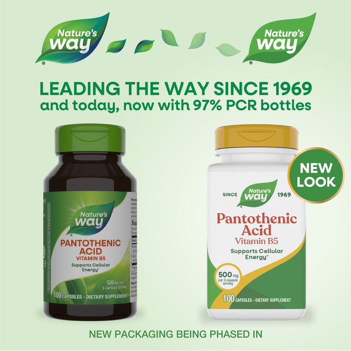 <{%MAIN1_undefined%}>Nature's Way® | Pantothenic Acid Vitamin B5