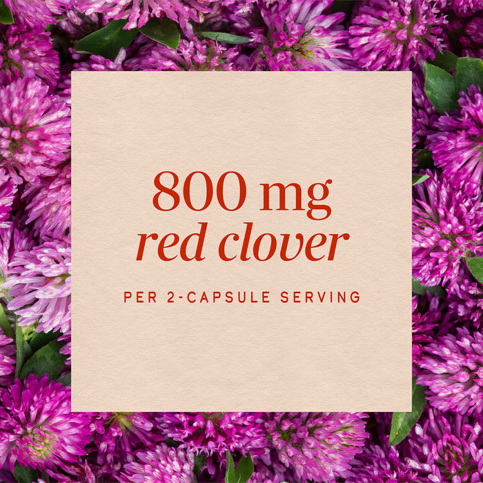 <{%MAIN3_16000%}>Nature's Way® | Red Clover Blossom / Herb