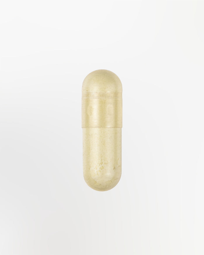 Resveratrol Kapsel