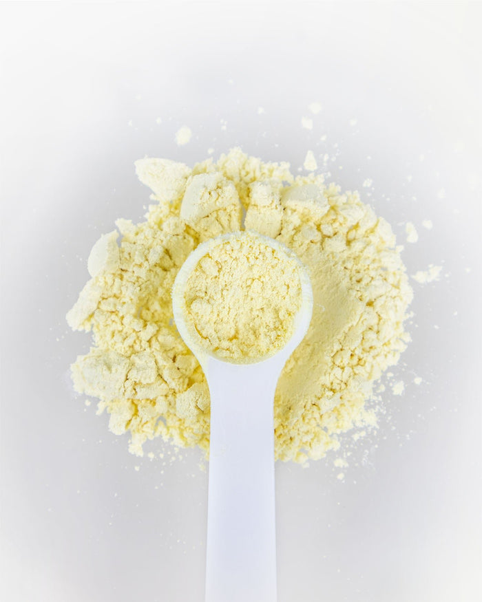 Resveratrol Pulver