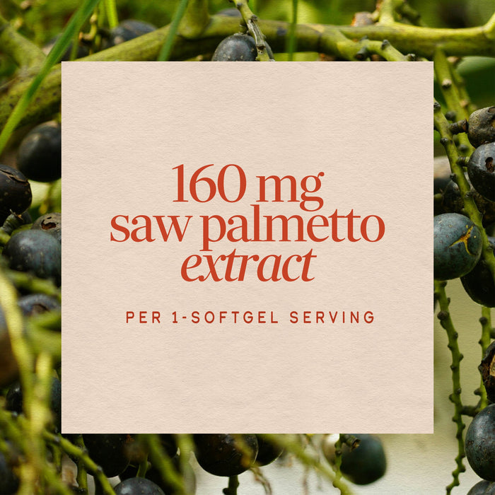 <{%MAIN3_08362%}>Nature's Way® | Saw Palmetto