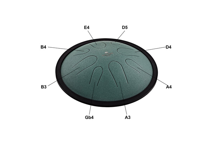 TONGUE SONIC ENERGY, COMPACT, VERT FONCE
