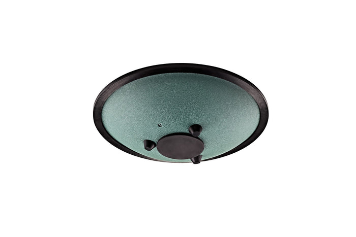 TONGUE SONIC ENERGY, COMPACT, VERT FONCE