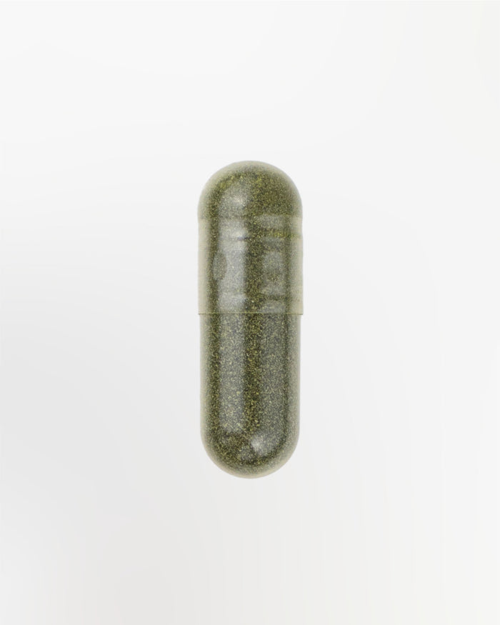 Spermidin Kapsel