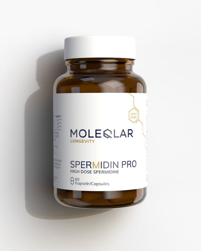 Spermidin Kapseln