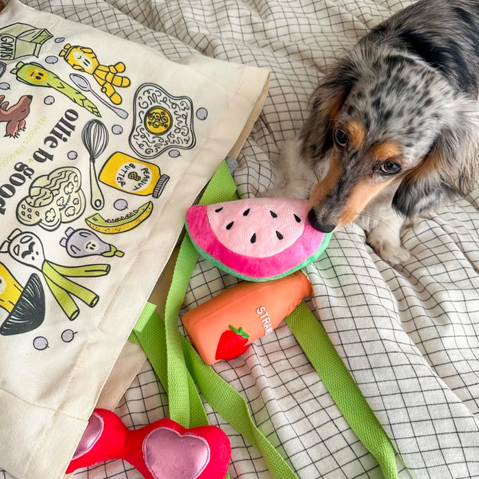 squeaker toy | berry fizz