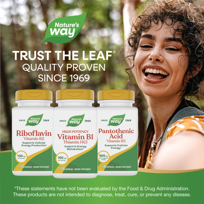 <{%MAIN5_40411%}>Nature's Way® | Vitamin B1 High Potency Thiamin HCl