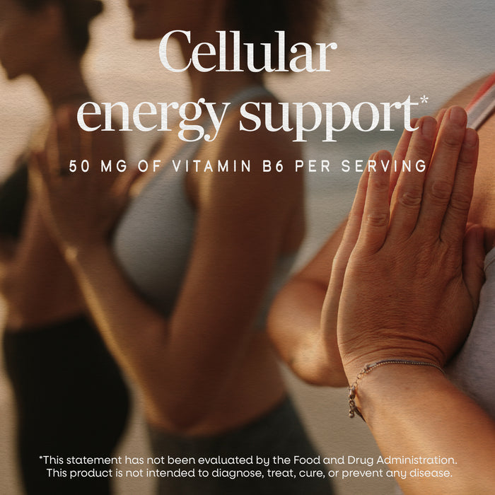 <{%MAIN1_40431%}>Nature's Way® | Vitamin B6 High Potency