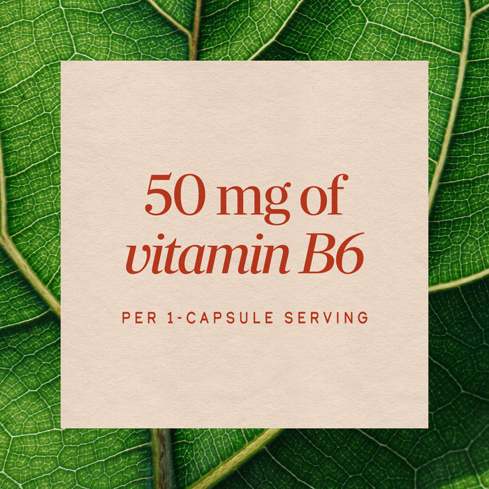 <{%MAIN3_40431%}>Nature's Way® | Vitamin B6 High Potency