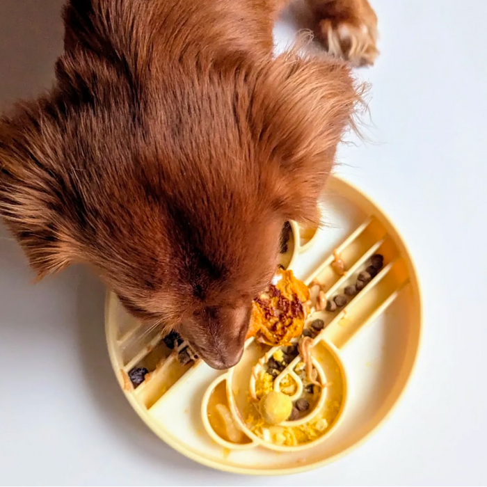 zoomies slow feeder bowl | buttercup