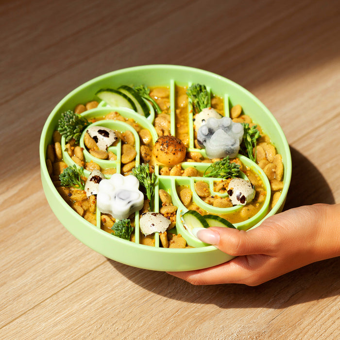 zoomies slow feeder bowl | honeydew
